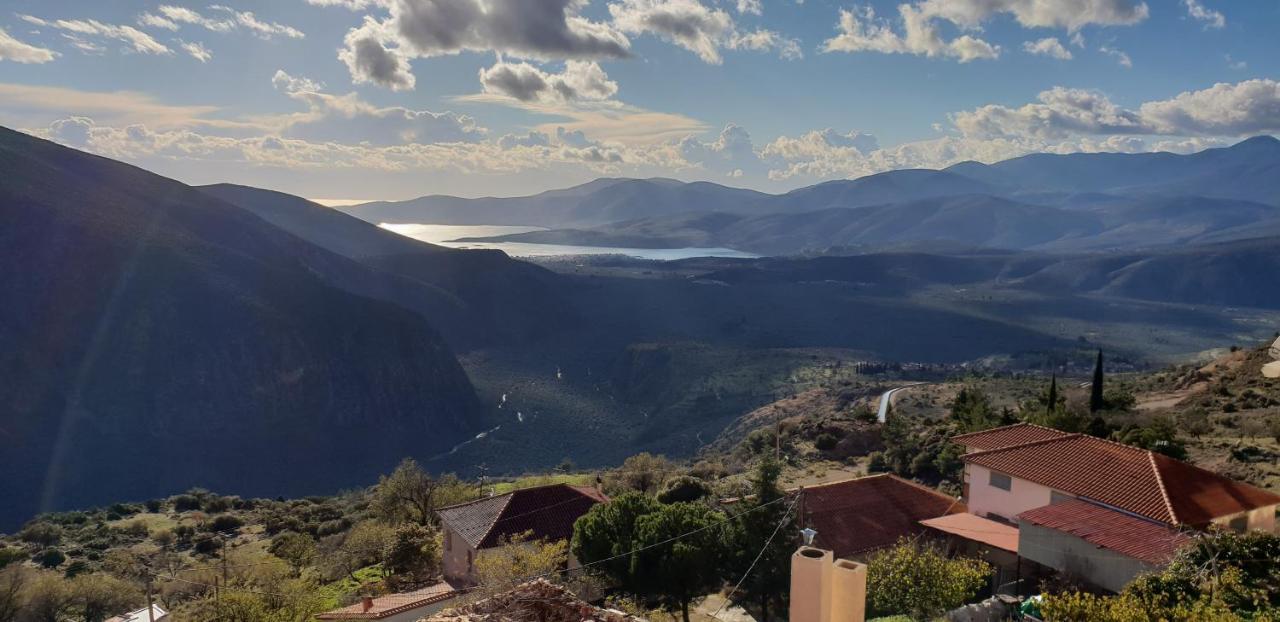 Apollo Hotel Delphi Bagian luar foto